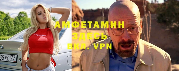 ПСИЛОЦИБИНОВЫЕ ГРИБЫ Новозыбков