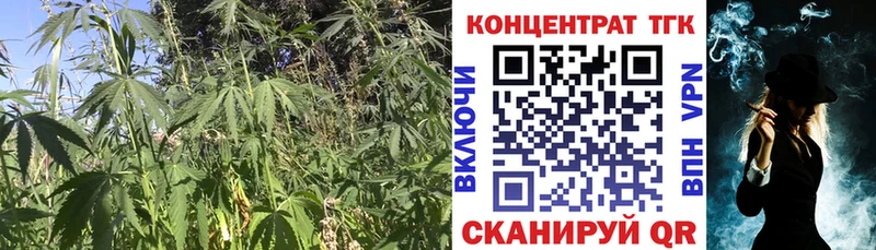 Купить закладки  Королёв  ТГК THC oil 