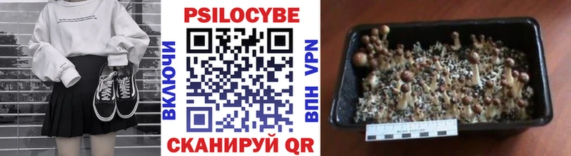 Купить  Королёв  Галлюциногенные грибы GOLDEN TEACHER 